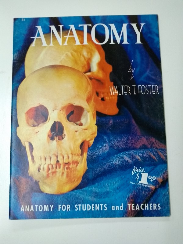 Anatomy