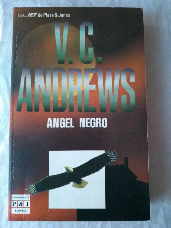 Angel negro