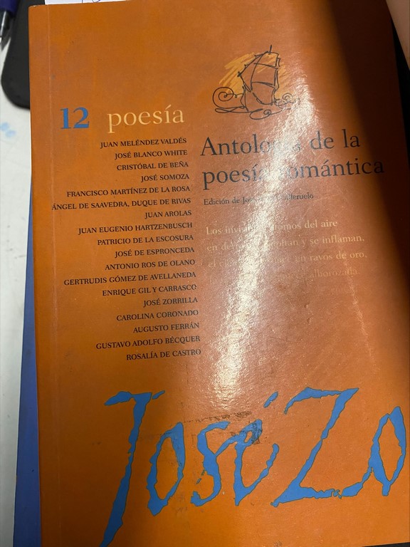 ANTOLOGIA DE LA POESIA ROMANTICA.