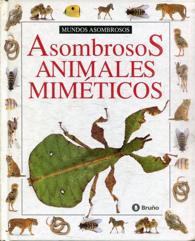 ASOMBROSOS ANIMALES MIMETICOS.