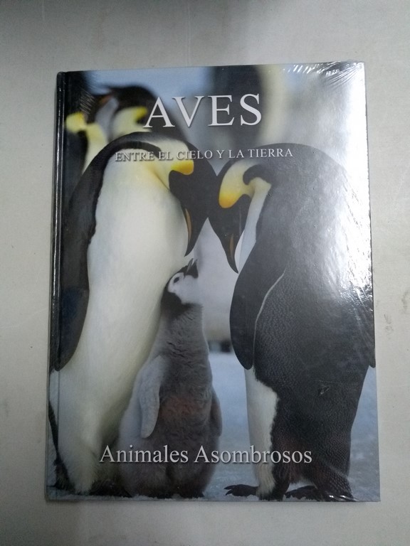 Aves, entre el cielo y la tierra