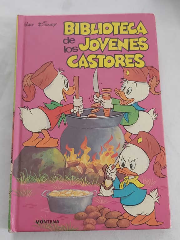 Biblioteca de los jovenes castores 13