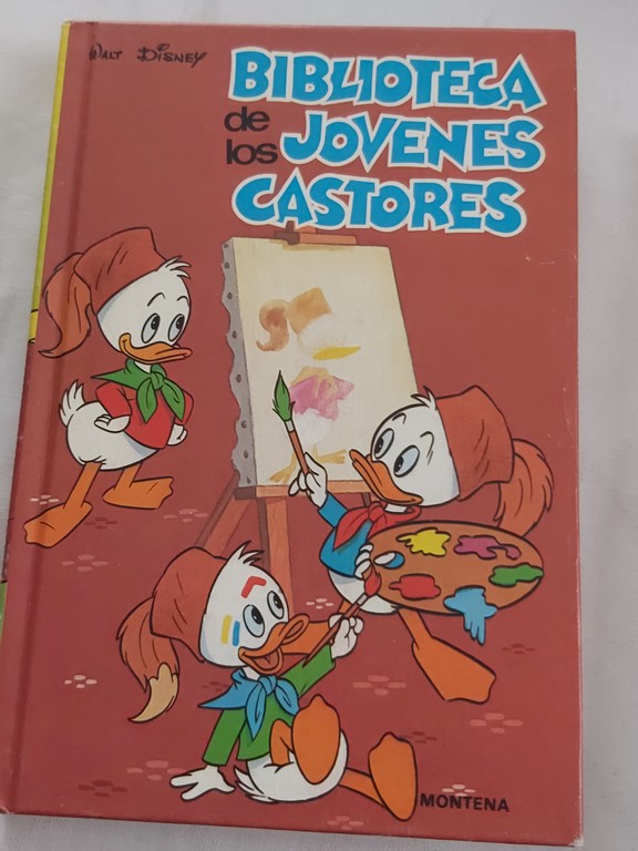 Biblioteca de los jovenes castores 15