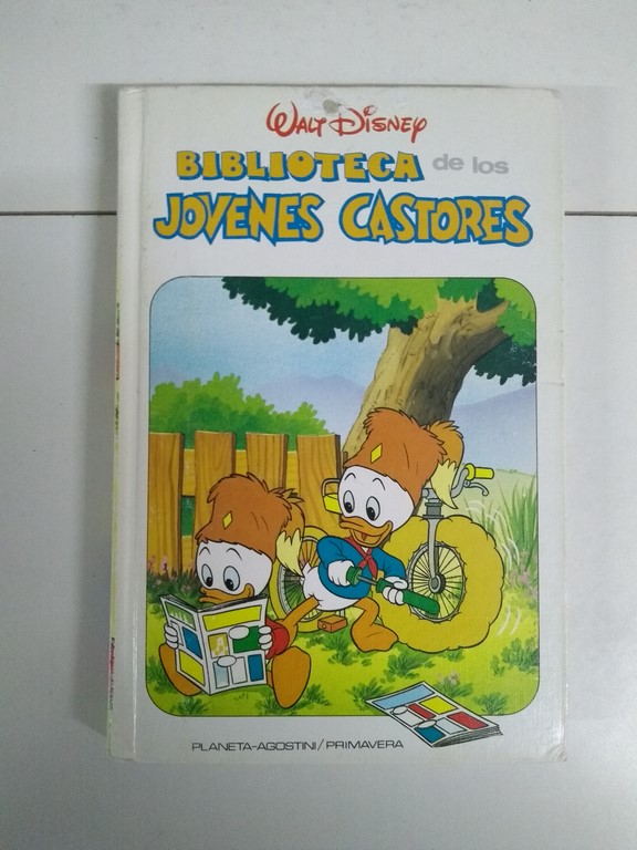 Biblioteca de los jóvenes castores 29