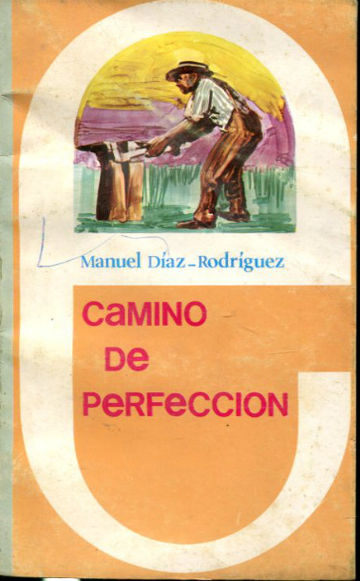 CAMINO DE PERFECCION Y OTROS ENSAYOS.