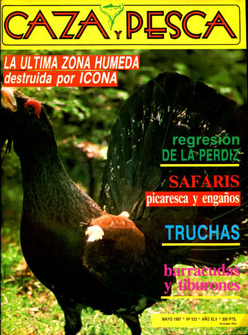 CAZA Y PESCA. CALENDARIO MENSUAL ILUSTRADO DE CAZA, PESCA, ARMAS Y GUARDERIA. Nº 533.