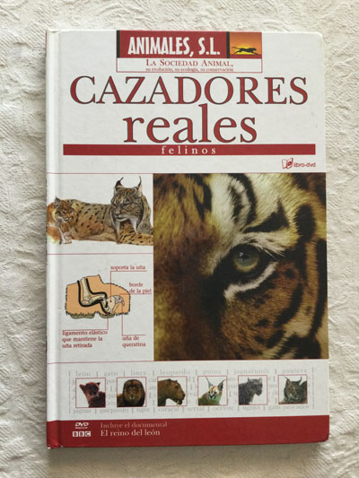 Cazadores reales. Felinos