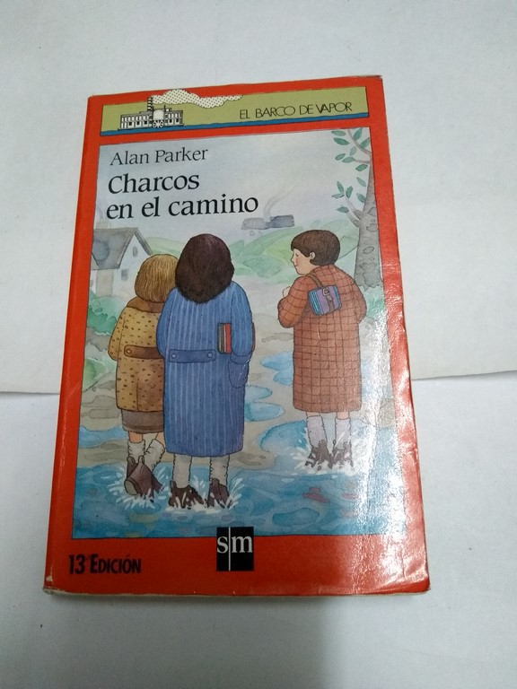 Charcos en el camino