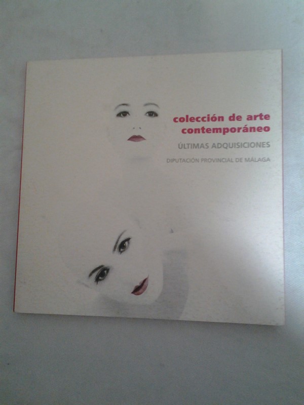 Coleccion de arte contemporaneo. Ultimas adquisiciones