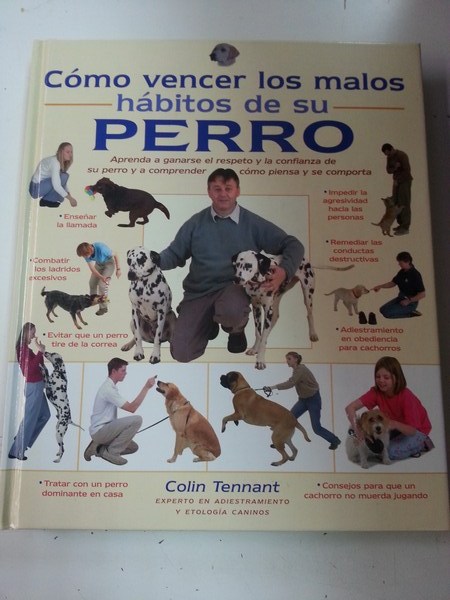 Cómo vencer los malos hábitos de su Perro