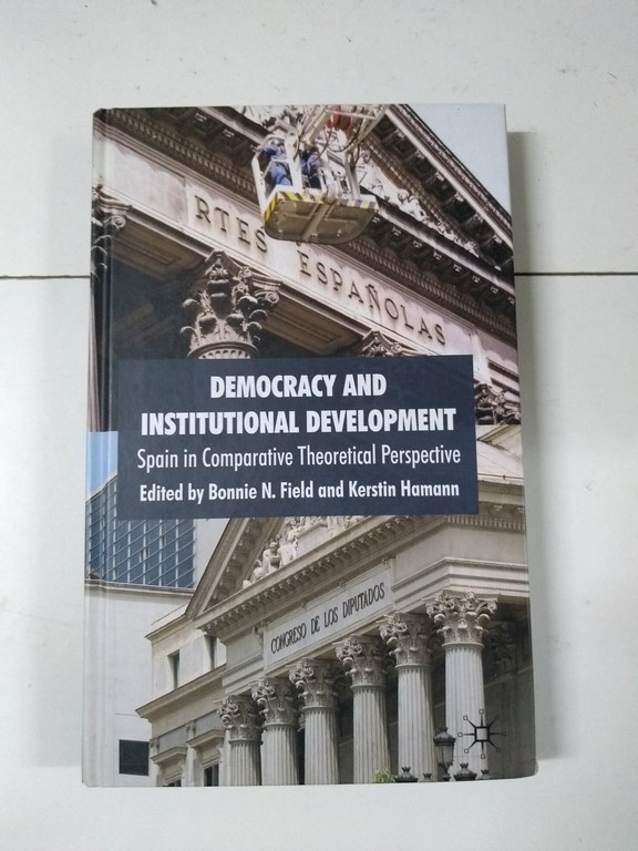 Democracy and Institutional Development