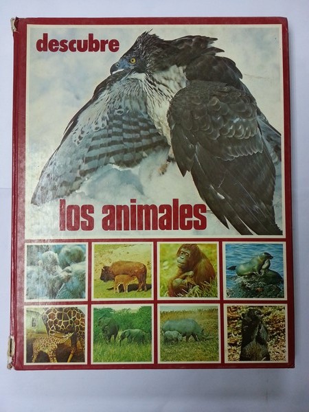 Descubre los animales