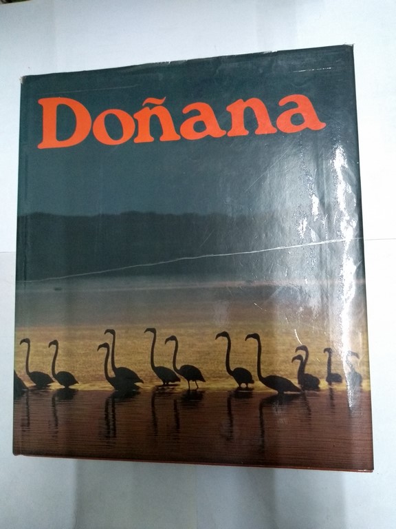 Doñana