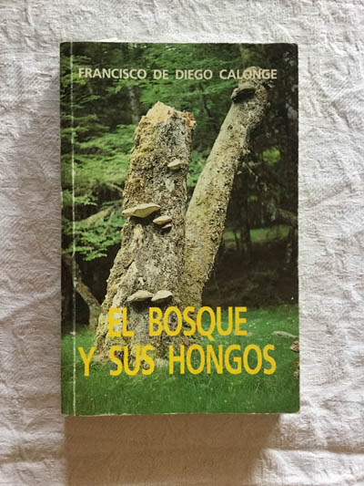 El bosque y sus hongos