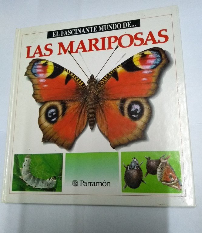 El fascinante mundo de las mariposas