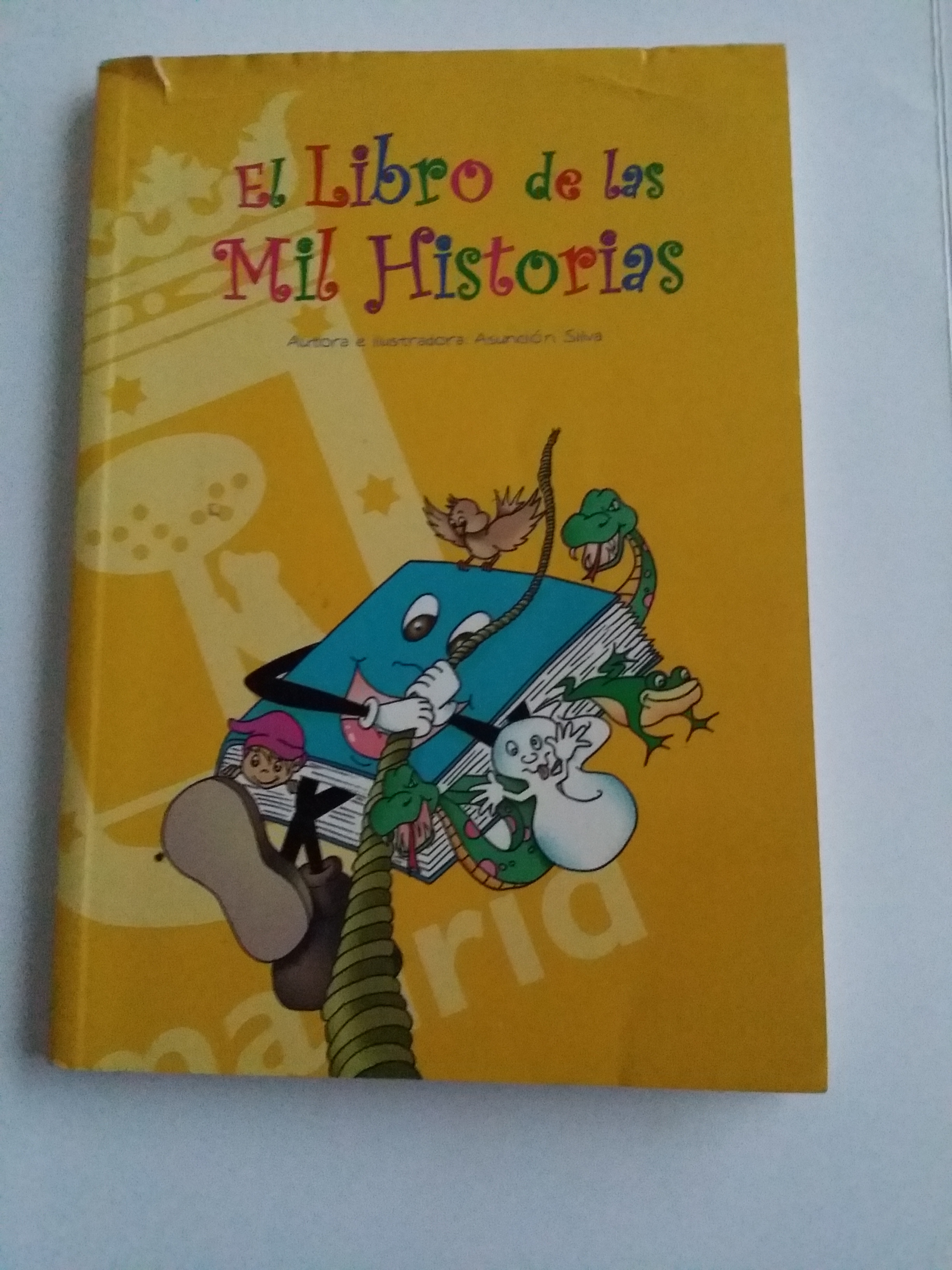 El libro de las mil historias