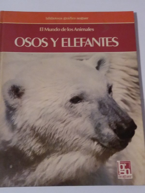 El mundo de los Animales: Osos y Elefantes