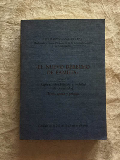 El nuevo derecho de familia (II)