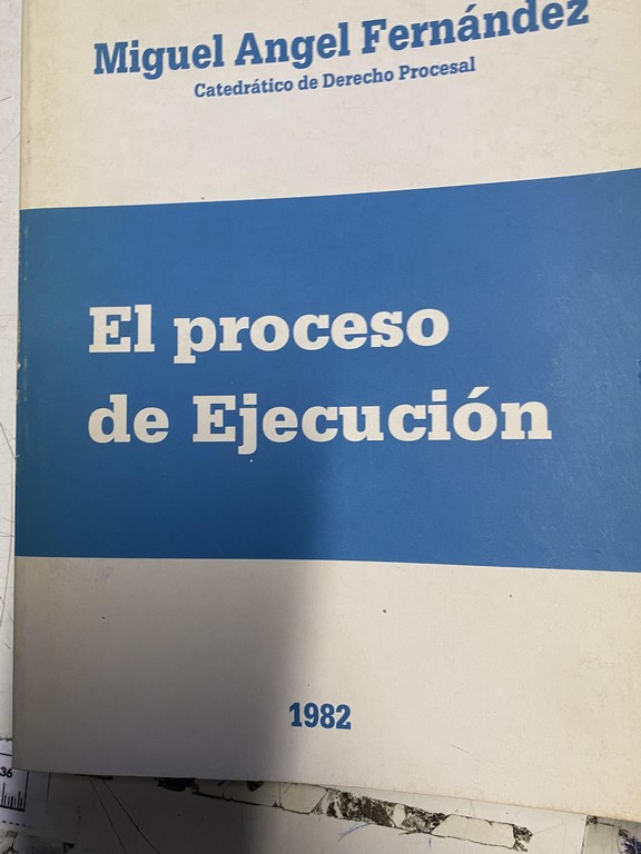 EL PROCESO DE EJECUCION.