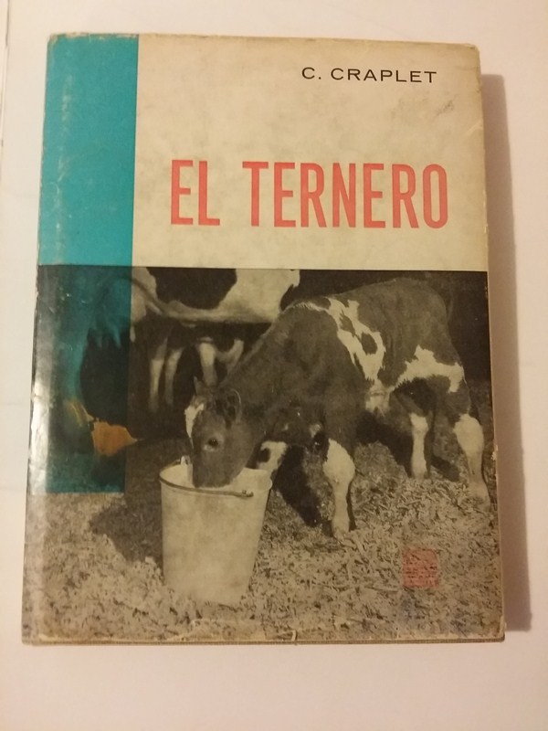 El ternero