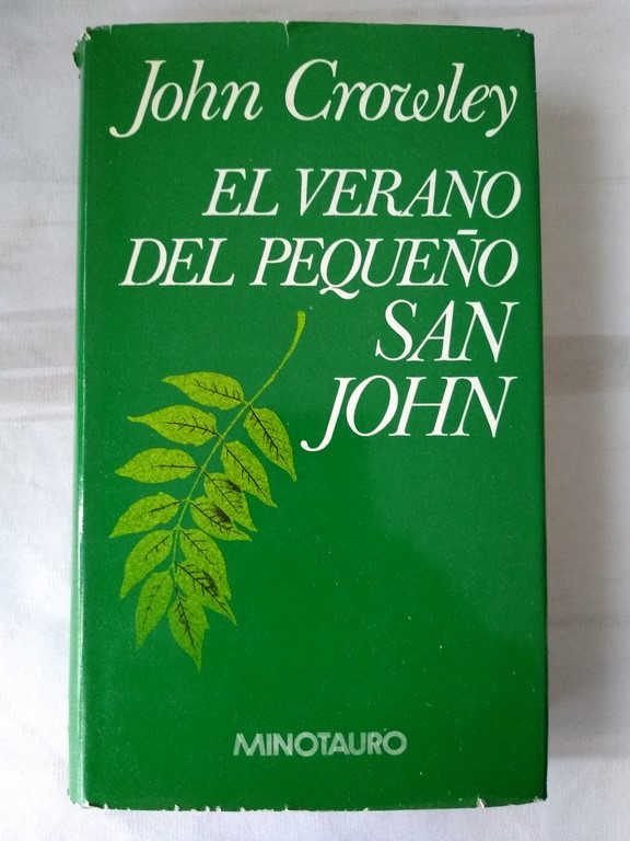 El verano del pequeño San John