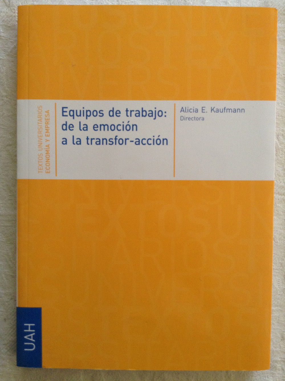 Equipos de trabajo: de la emoción a la transfor-acción