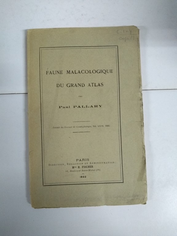 Faune Malacologique du Grand Atlas