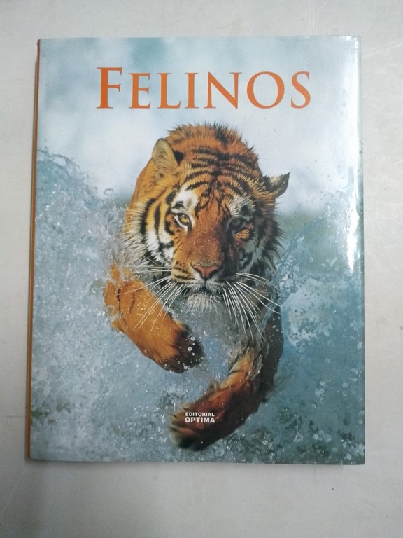 Felinos