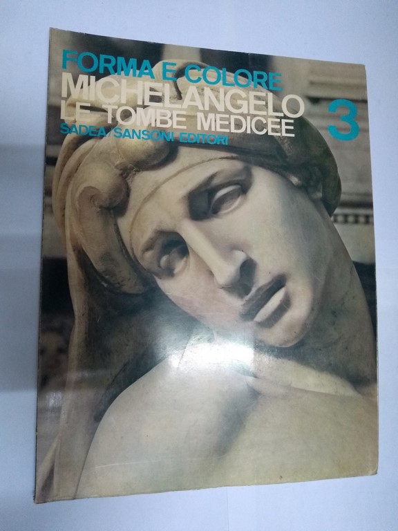 Forma e colore. Michelangelo le tombe medicee, 3