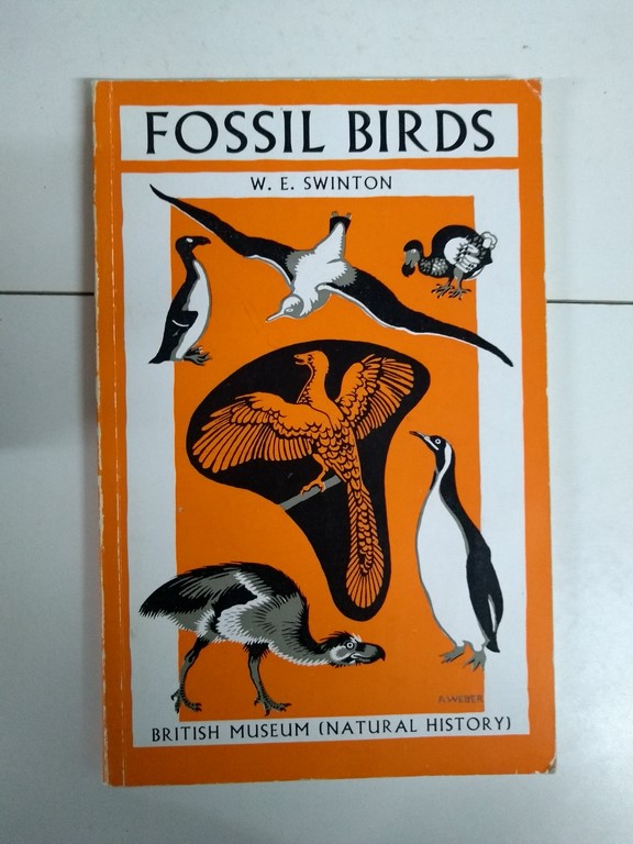 Fossil Birds