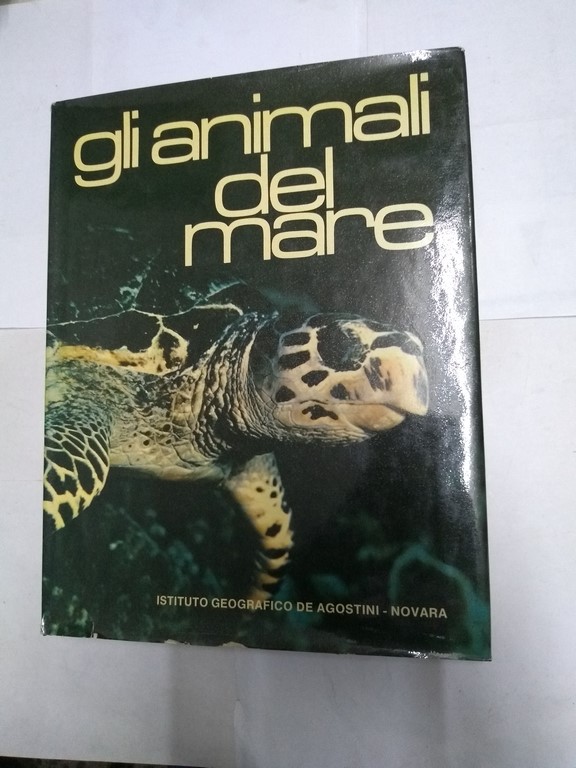 Gli animali del mare