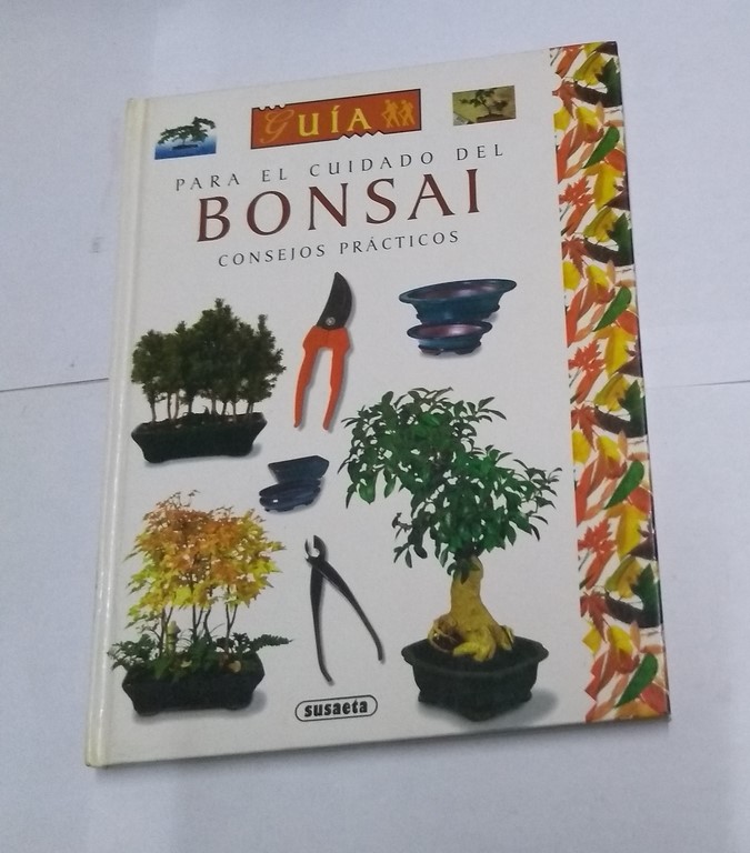 Guía para el cuidado del bonsai. Consejos prácticos