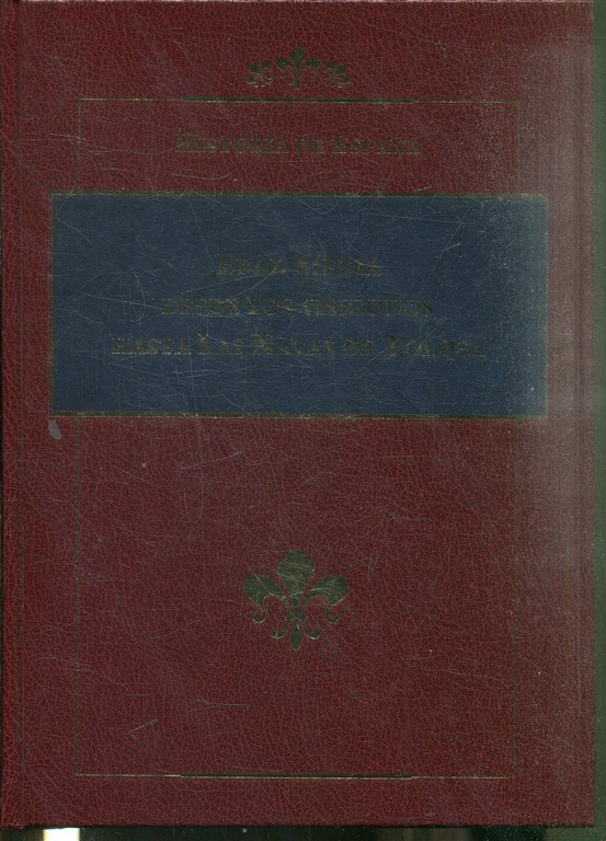 HISTORIA DE ESPAÑA. EDAD MEDIA DESDE LOS VISIGODOS HASTA LAS NAVAS DE TOLOSA.