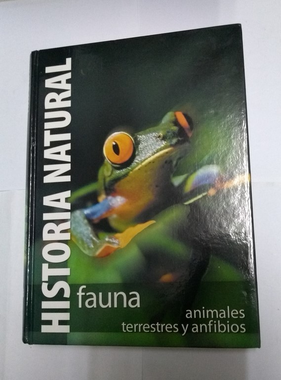 Historia Natural. Fauna. Animales terrestres y anfibios