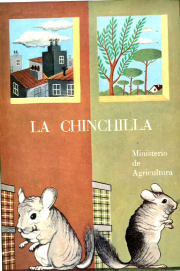 LA CHINCHILLA.