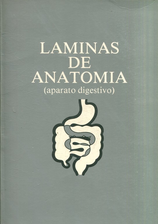 LAMINAS DE ANATOMIA (APARATO DIGESTIVO).