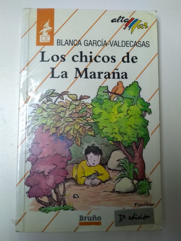 Los chicos de la Maraña