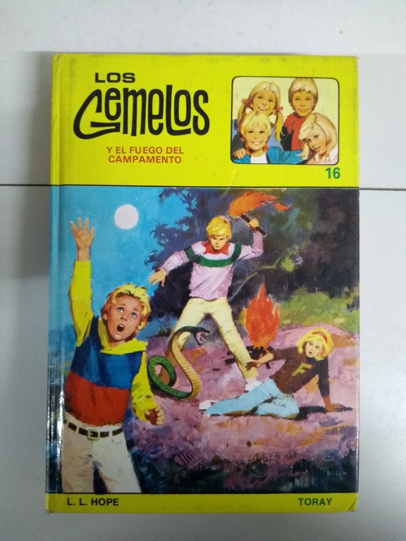 Los gemelos y el fuego del campamento