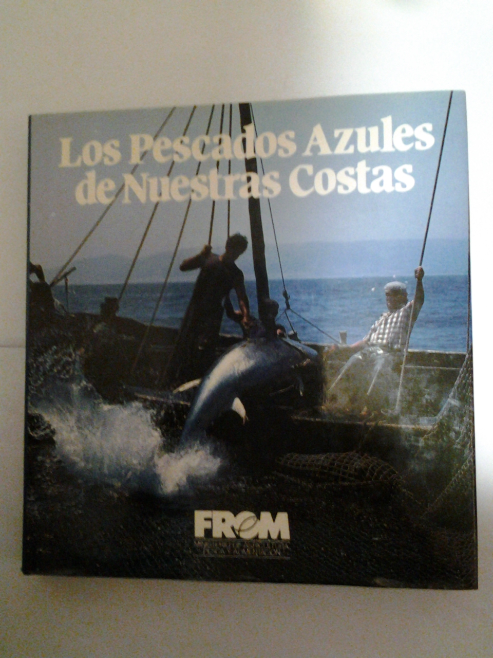 Los pescados Azules de nuestras Costas