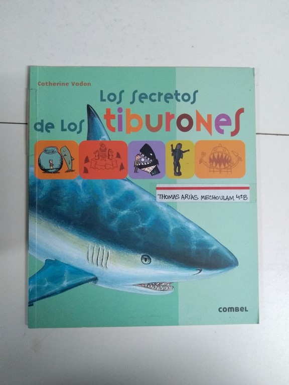 Los secretos de los tiburones