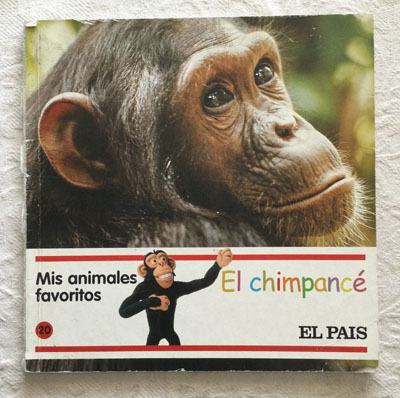 Mis animales favoritos. El chimpancé