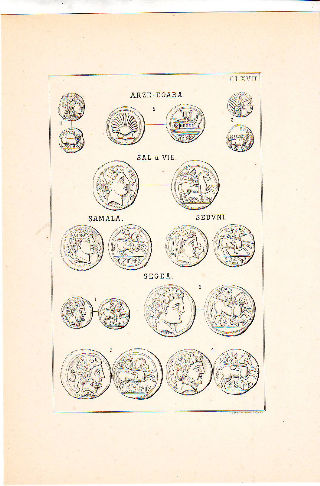 MONEDAS DE LA ESPAÑA ULTERIOR. LAMINA CLXVII: ARZE EGARA. SAL VIE. SAMALIA. SEDUNI. SEGEA.