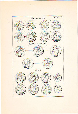 MONEDAS DE LA ESPAÑA ULTERIOR. LAMINA CLXXXIV. VAREA O VARIA. VASATA O VESEDA. VELIA.