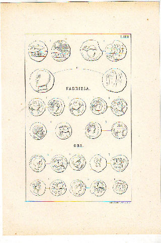 MONEDAS DE LA ESPAÑA ULTERIOR. LAMINA LIII: NABRISSA. OBA.