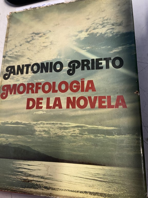 MORFOLOGIA DE LA NOVELA.