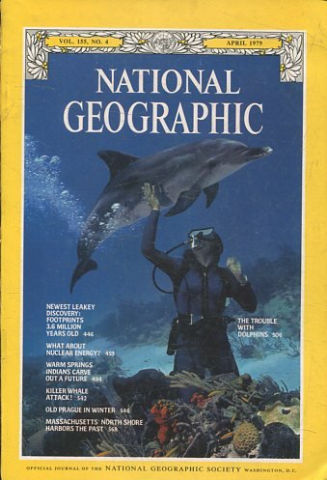 NATIONAL GEOGRAPHIC VOL. 155, Nº 4. APRIL 1979. NEWEST LEAKEY DISCOVERY: FOOTPRINTS 3.6 MILLION YEARS OLD.