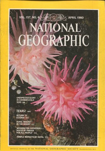 NATIONAL GEOGRAPHIC VOL. 157, Nº 4. ABRIL 1980. UNEXPECTED GLORY IN CANADA'S COLS SEAS. TEXAS!