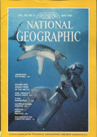 NATIONAL GEOGRAPHIC. VOL. 159, Nº 5. MAY 1981.  JAWBREAKER FOR SHARKS.