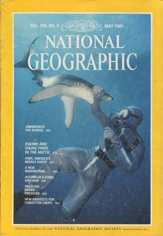 NATIONAL GEOGRAPHIC. VOL. 159, Nº 5. MAY 1981. JAWBREAKER FOR SHARKS.