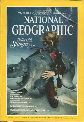 NATIONAL GEOGRAPHIC VOL. 175, Nº 1. JANUARY 1989. BALLET WITH STINGRAYS.